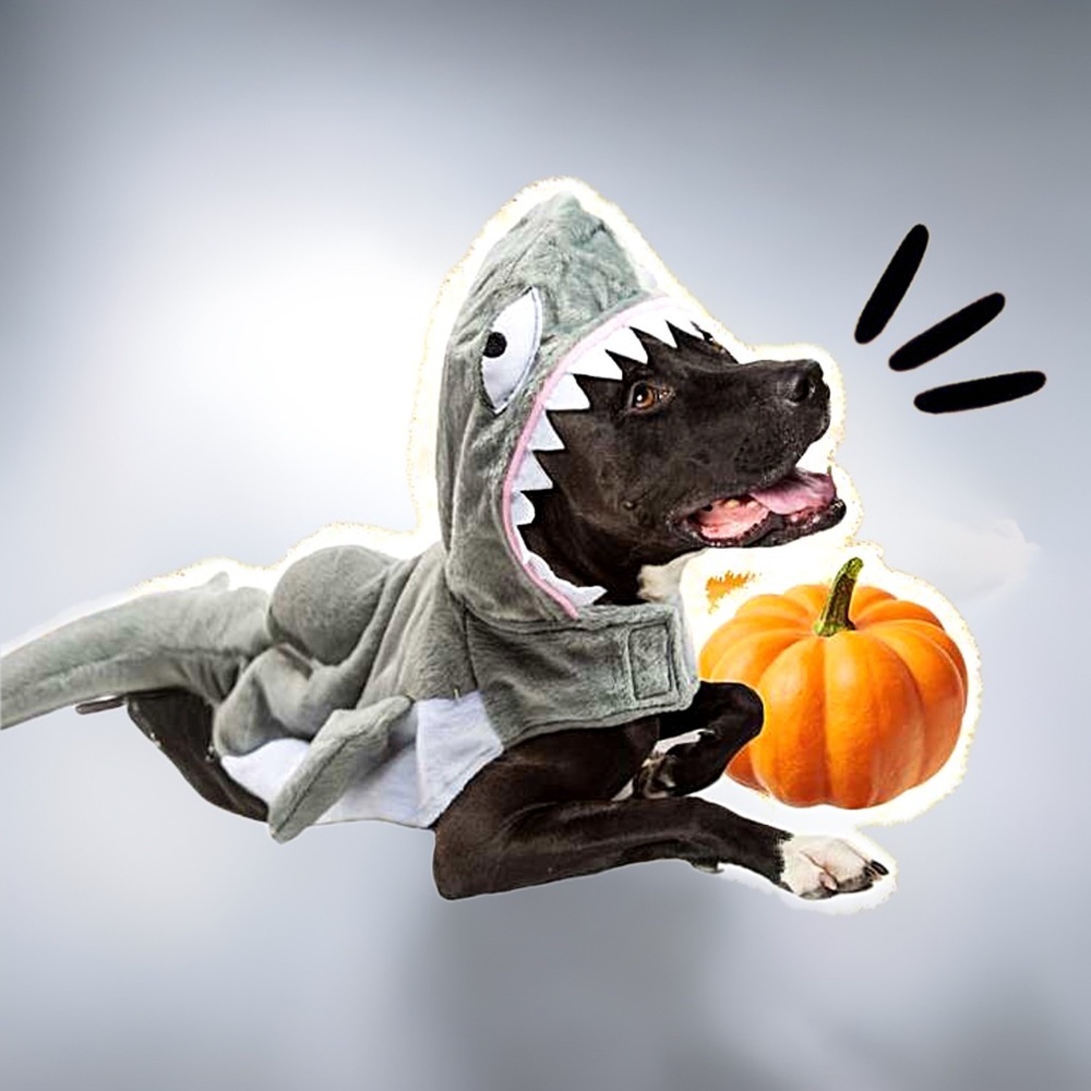 PET SHARK COSTUME